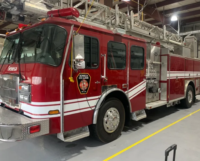 Vehicle Graphics - Image 5