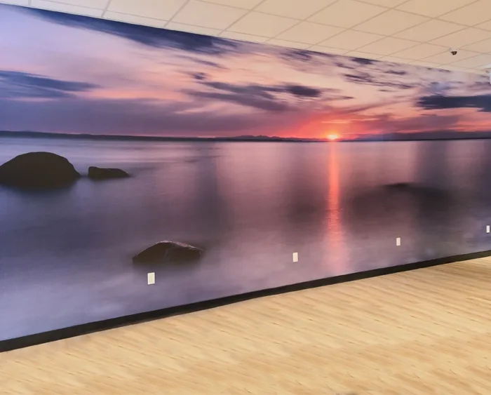 Wall Murals - Image 3