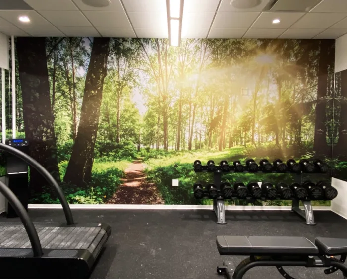 Wall Murals - Image 2